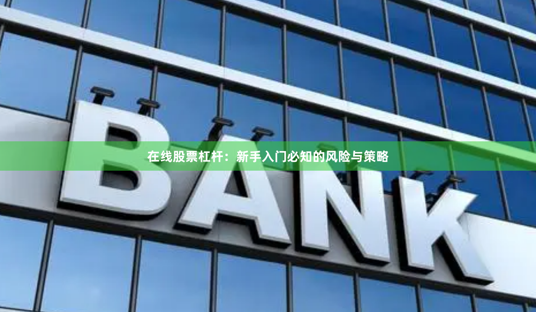 在线股票杠杆：新手入门必知的风险与策略