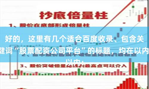 好的，这里有几个适合百度收录、包含关键词“股票配资公司平台”的标题，均在以内：