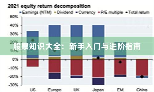股票知识大全:新手入门与进阶指南